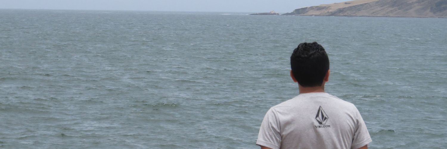 Cobbita's profile banner image