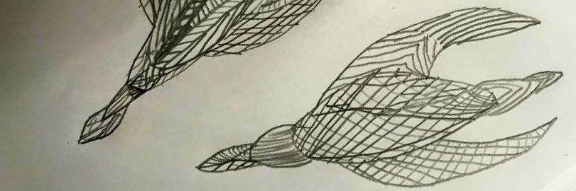 Alex banner