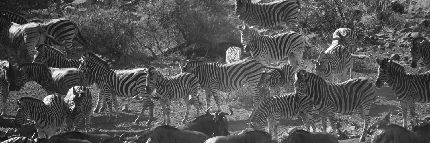 Claude Stéphanie banner