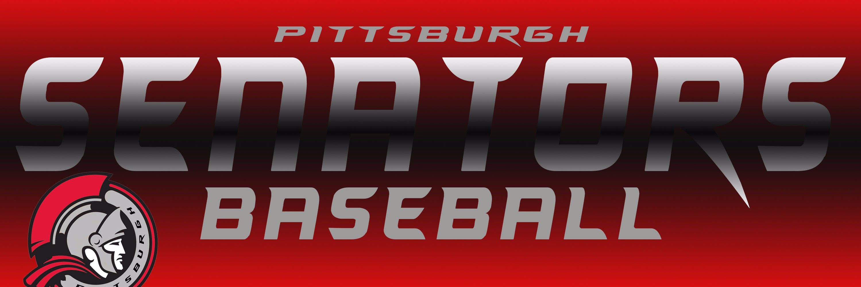 Pittsburgh Senators banner