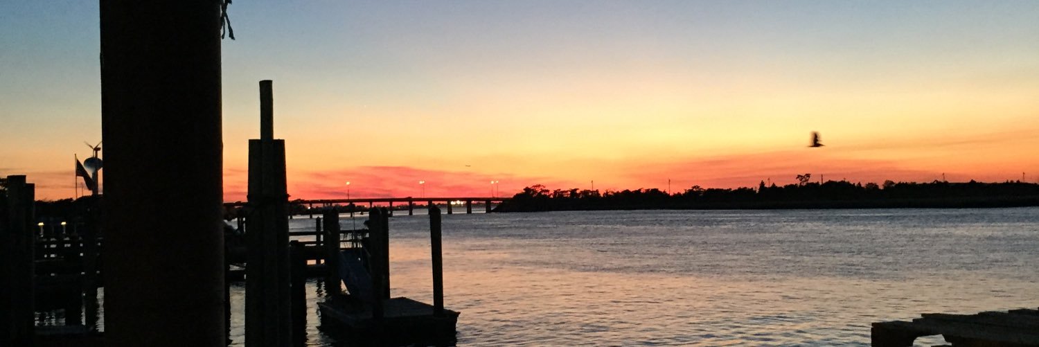 elenaaburkee's profile banner image