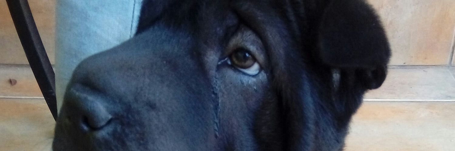 Vale_vale02017's profile banner image