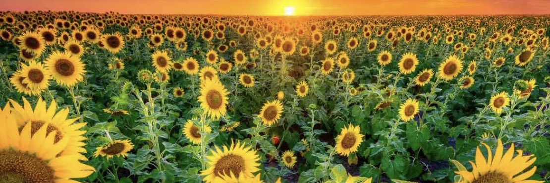 🇺🇦🇺🇦🇺🇦Alt_Bartender Stands With Ukraine banner