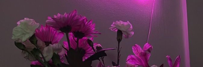 Ai_firdaa's profile banner image