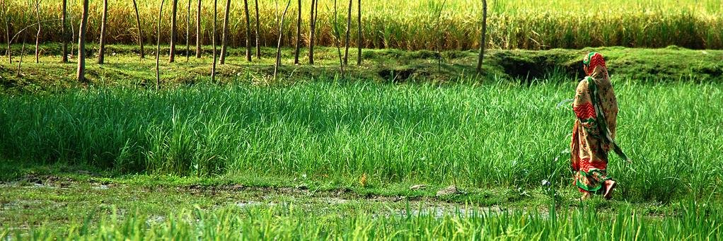 Global Food Security banner