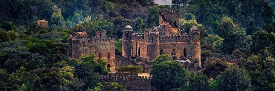 Tilahun Tsige banner