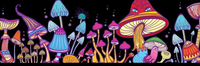 cmoexo's profile banner image