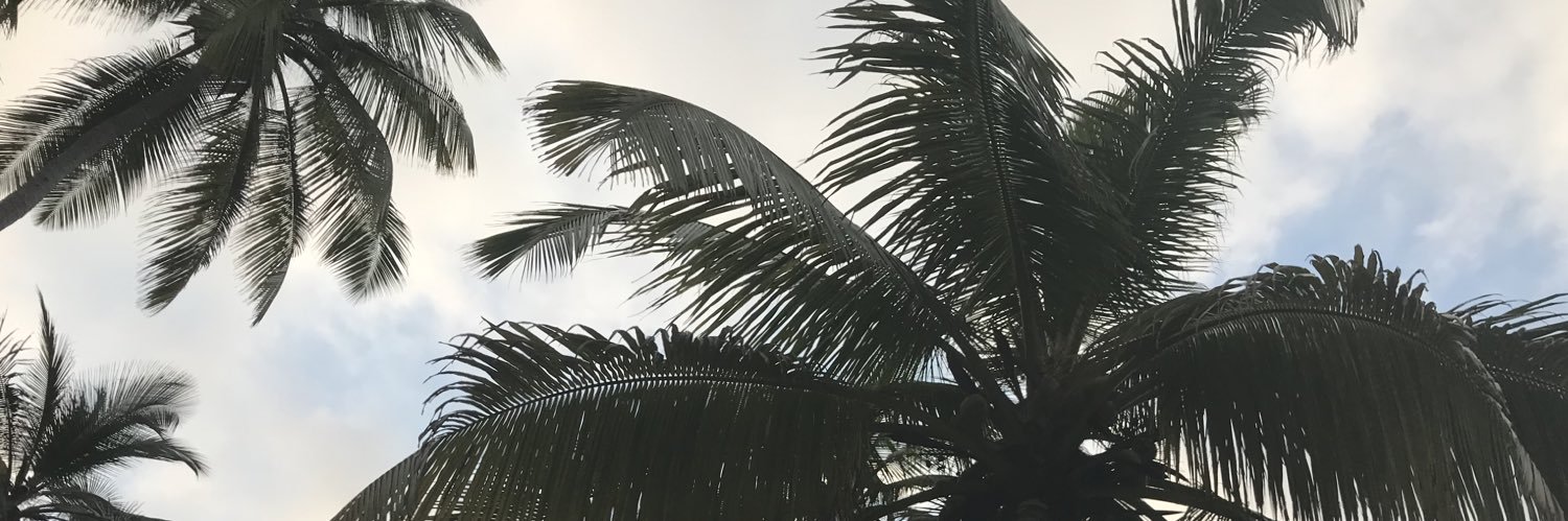 sch_seb's profile banner image