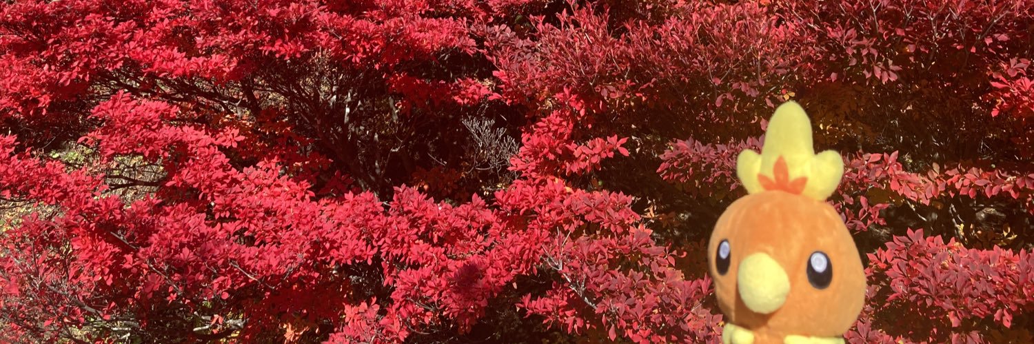 tukuru107's profile banner image