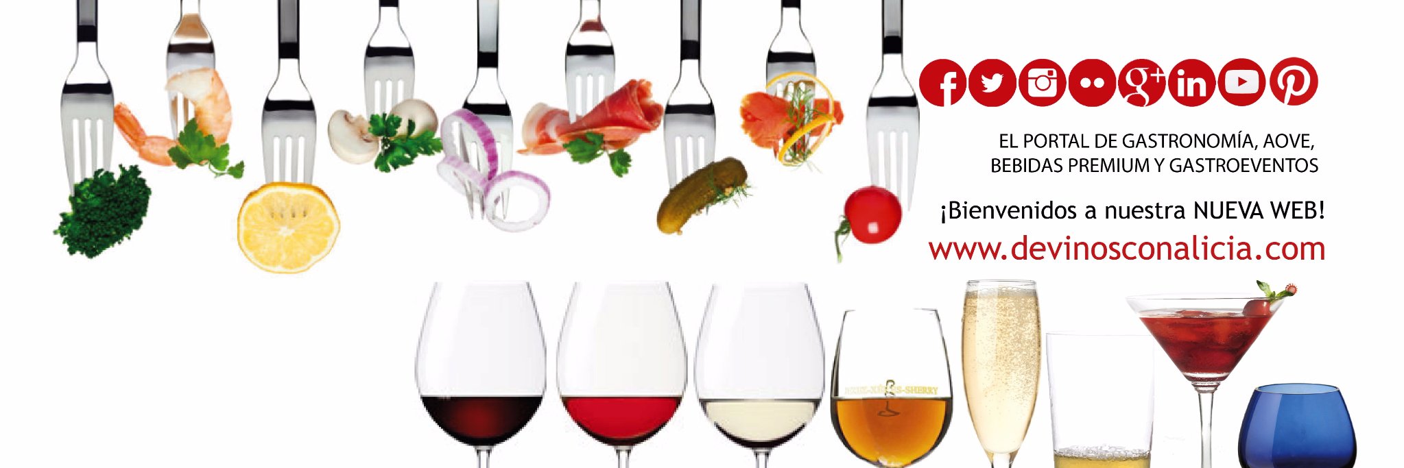 Revista enogastronómica banner