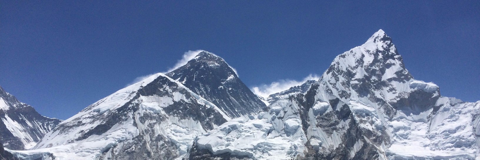 Harald Gliebe banner