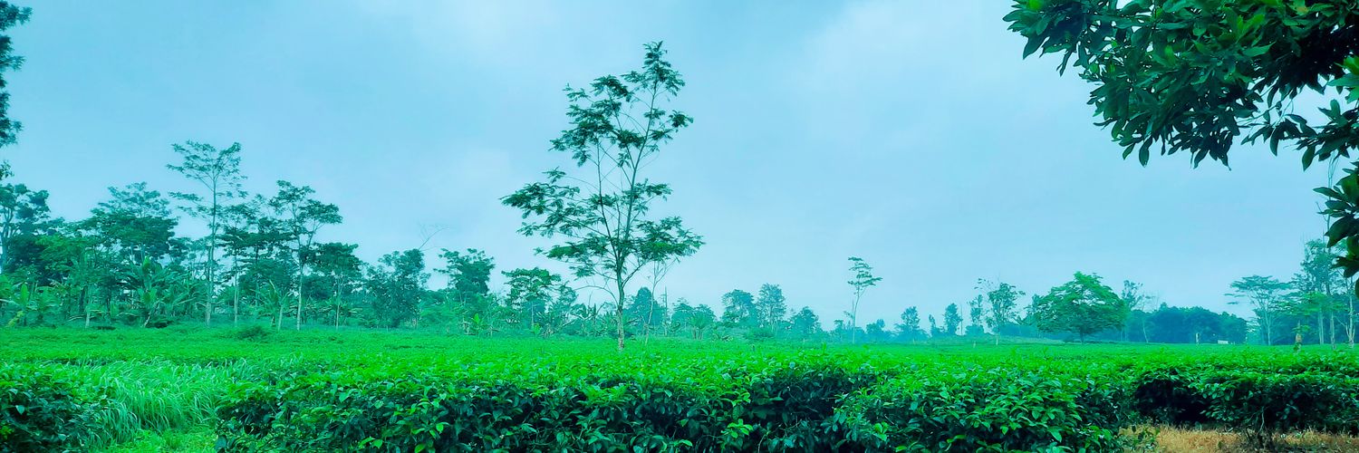 yayansoe's profile banner image