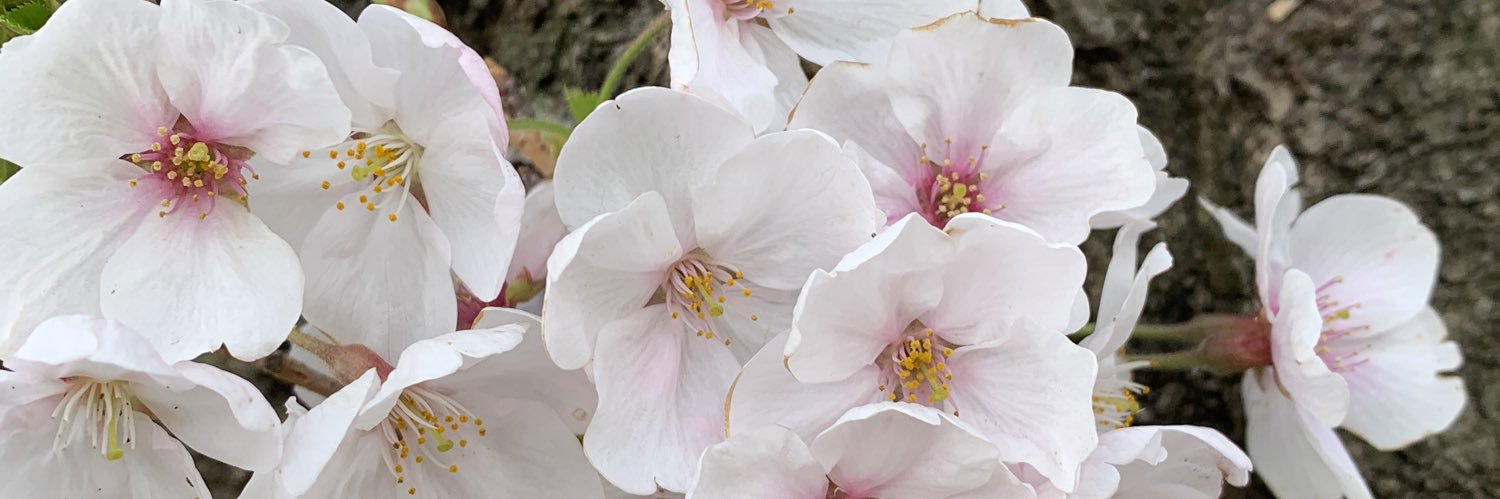 d_d_y_y's profile banner image