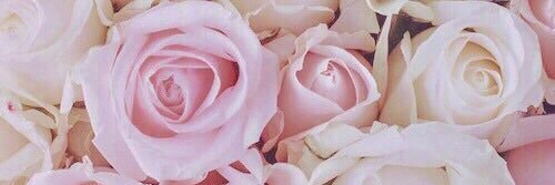 Y banner