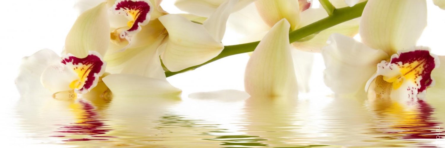 Bingul185's profile banner image