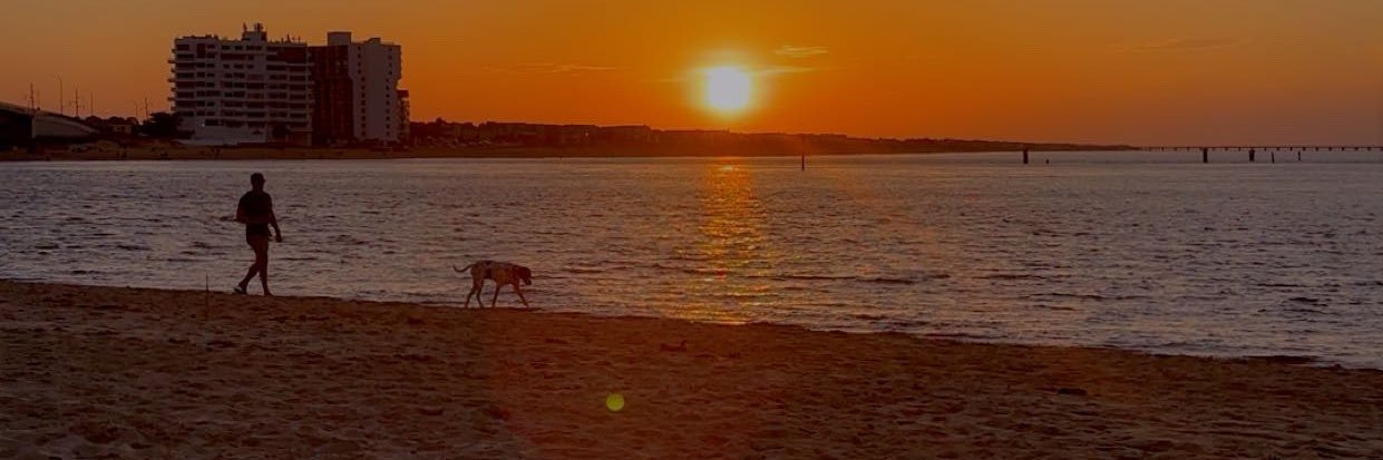 prettyjass__'s profile banner image
