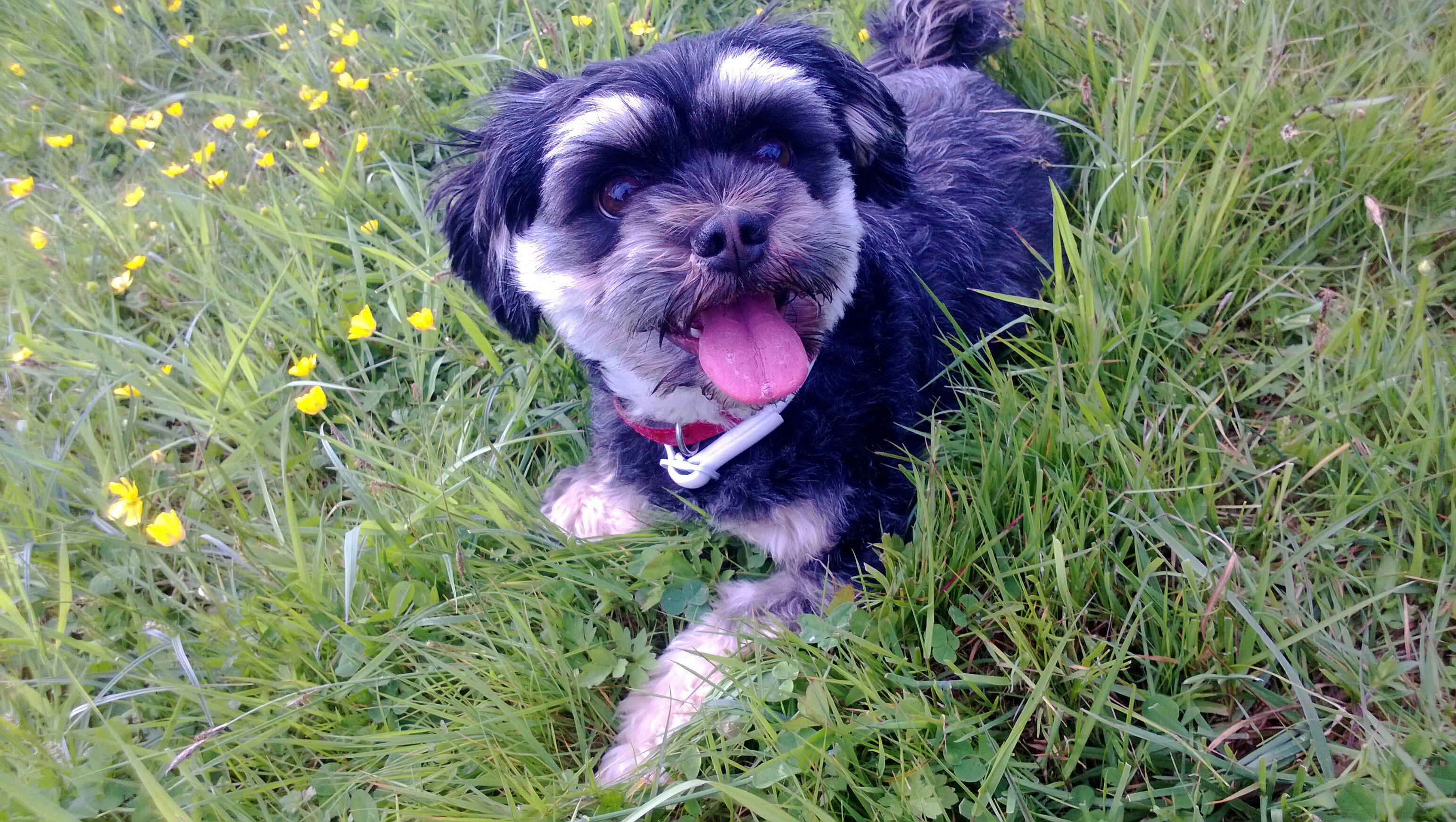 Daphne Colijn banner
