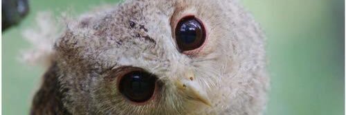 RandomTimes_'s profile banner image