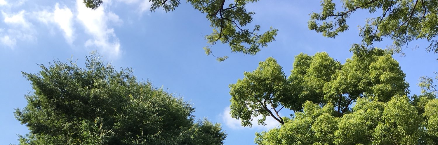 waSureteSimota's profile banner image