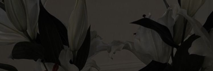 🍒 banner