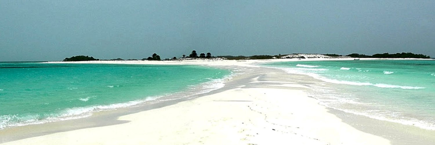 bagaloti's profile banner image
