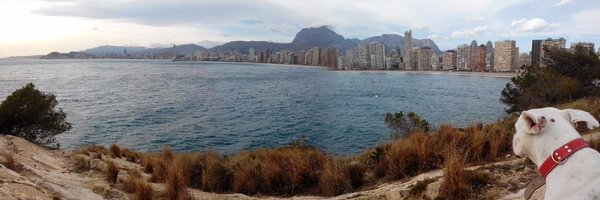 Silveira_EF Profile Banner