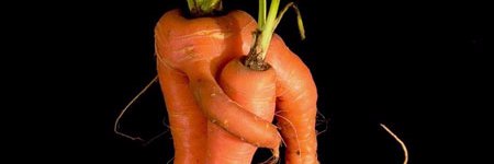 NaturalGrocerys's profile banner image