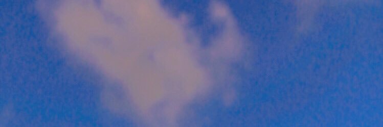 HelenFransisca banner
