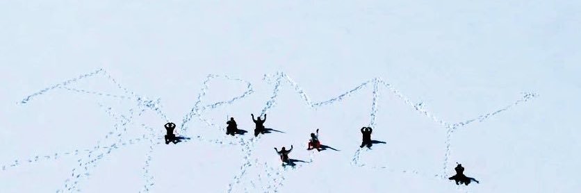 ChooGift's profile banner image