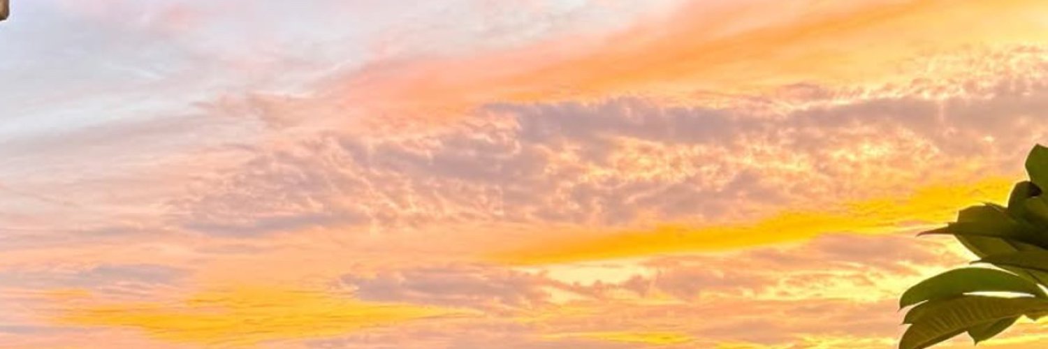 monicp_'s profile banner image