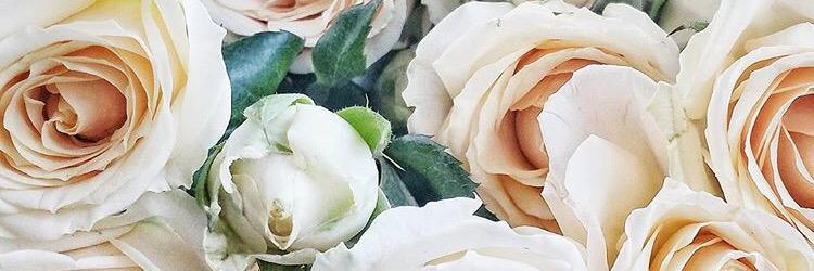 emmiwhitaker's profile banner image