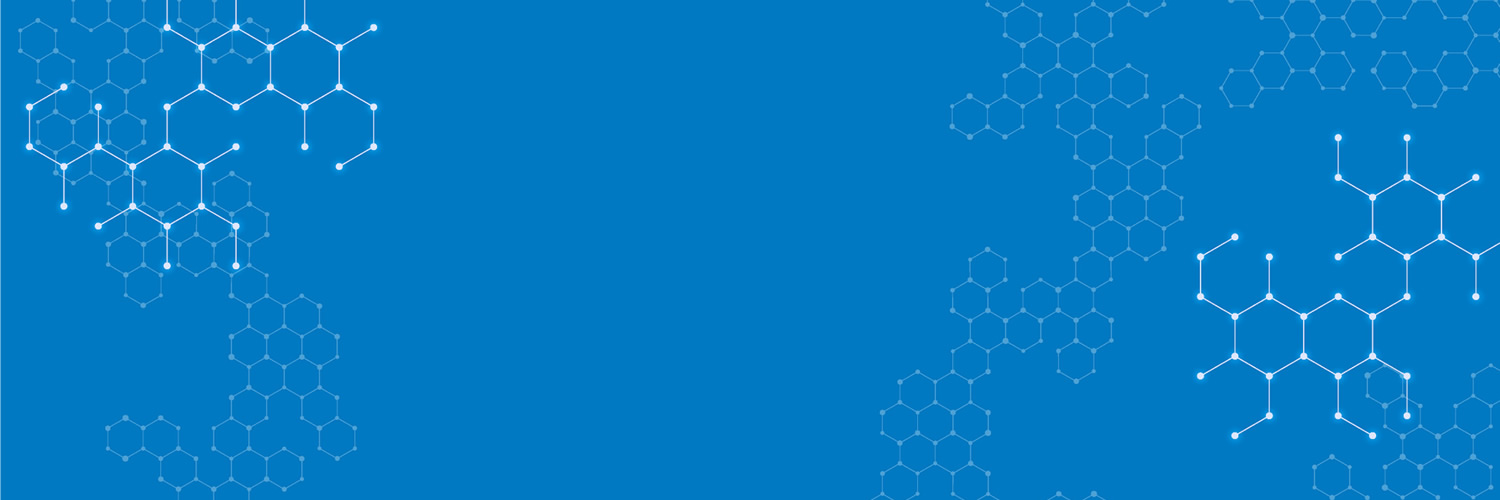 bufflehead internet technology banner