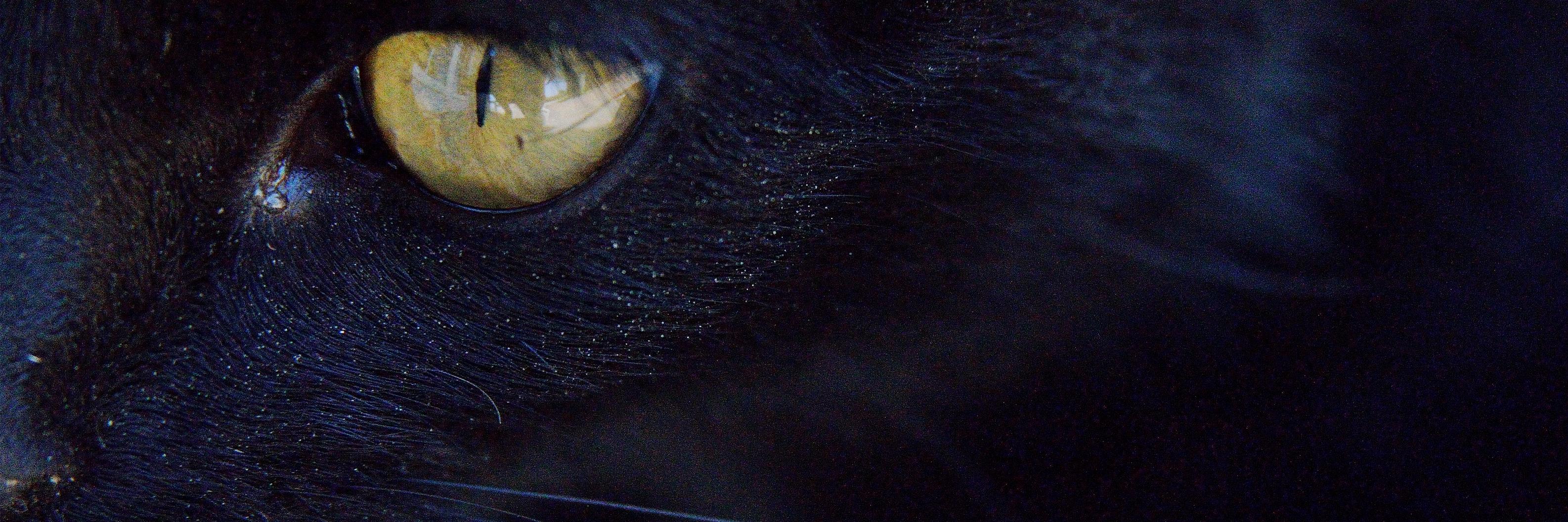 Max200tos's profile banner image