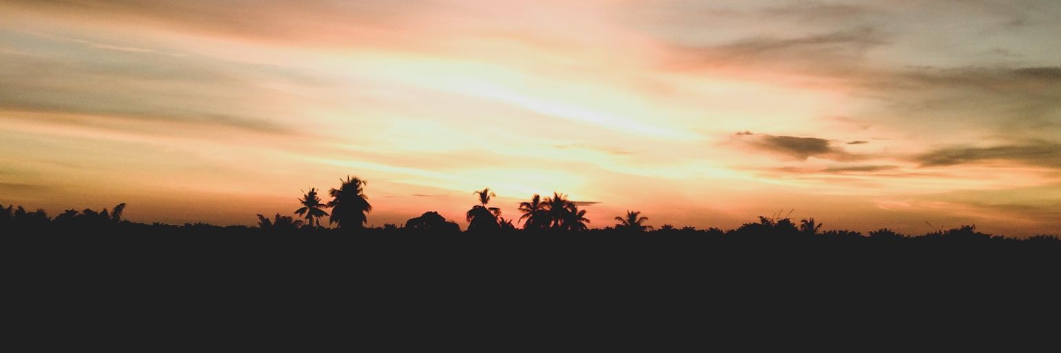 xskullo's profile banner image