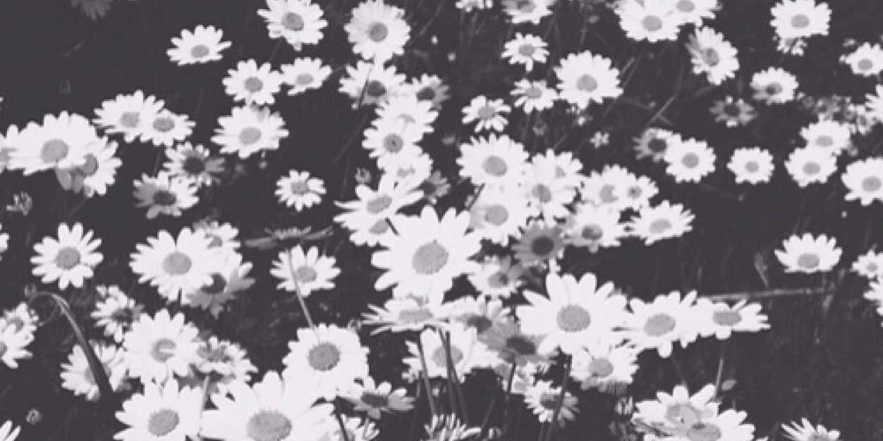 rochelle rossouw ♡ banner