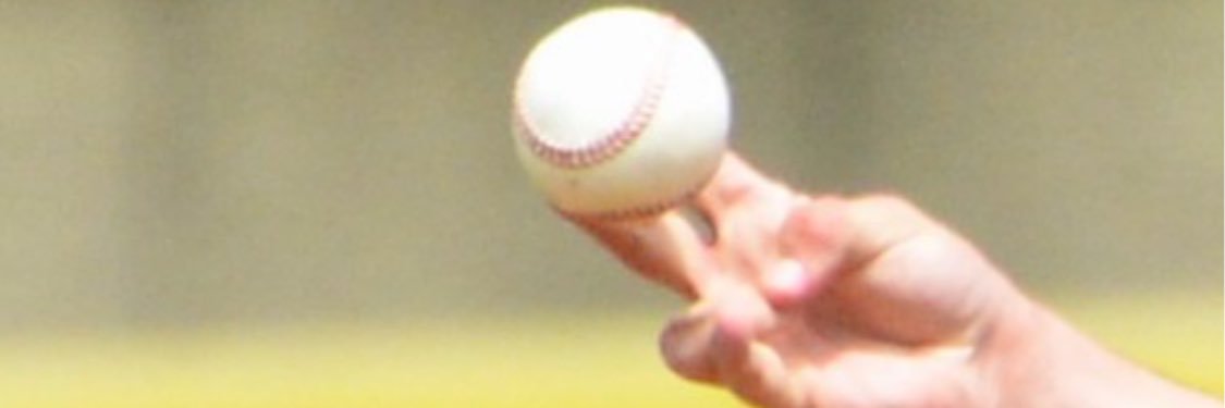 Tod Allen Lewis banner