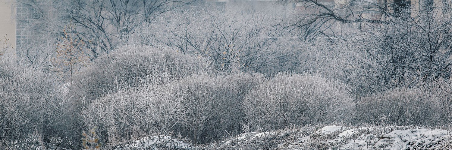 Sergii Broslavets banner