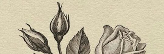 greenpanda_08's profile banner image