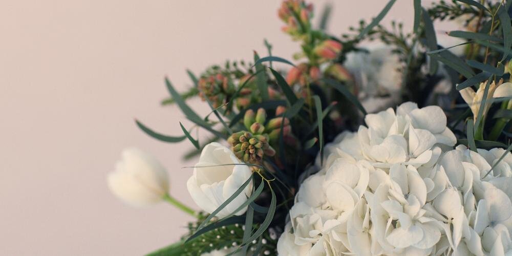 hbloom's profile banner image