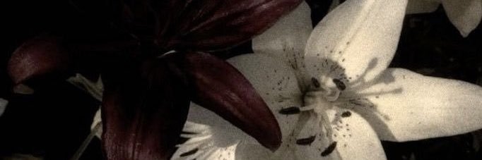 ghost girl ; 🐾 banner
