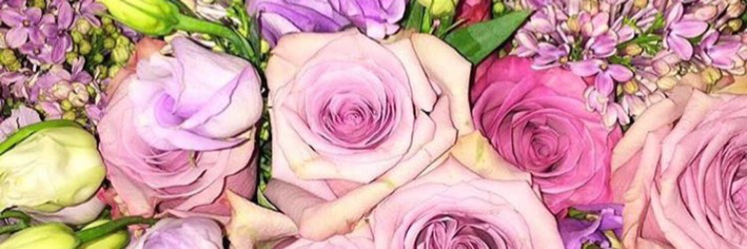 HANDAL2030's profile banner image