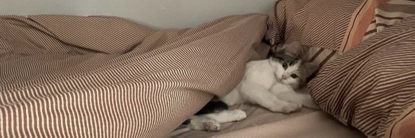 kyehehee Profile Banner