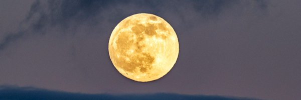 Dark_Camus Profile Banner