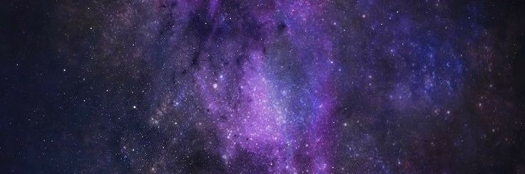 Anticristo vegetariano banner