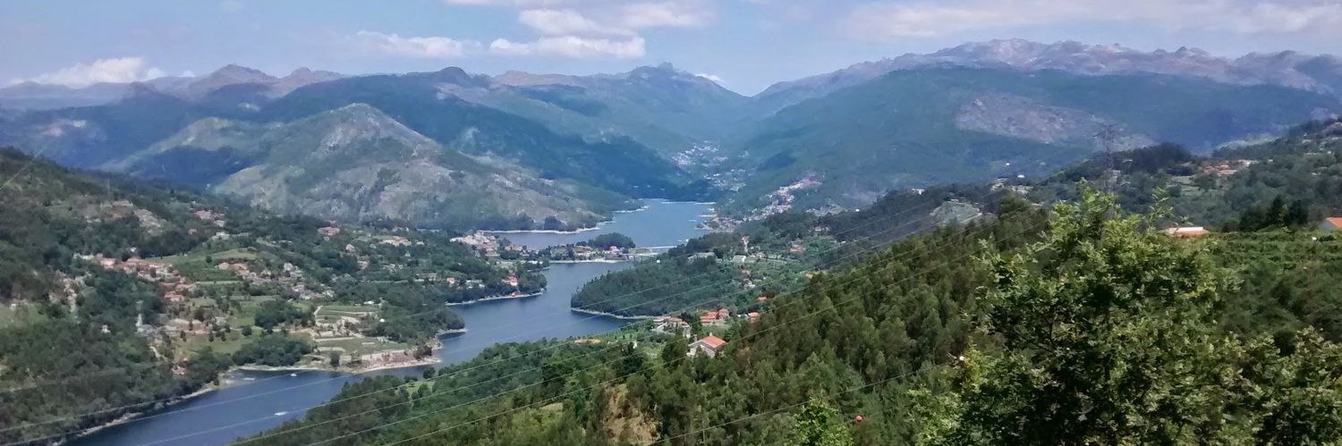 Angela Rodrigues banner