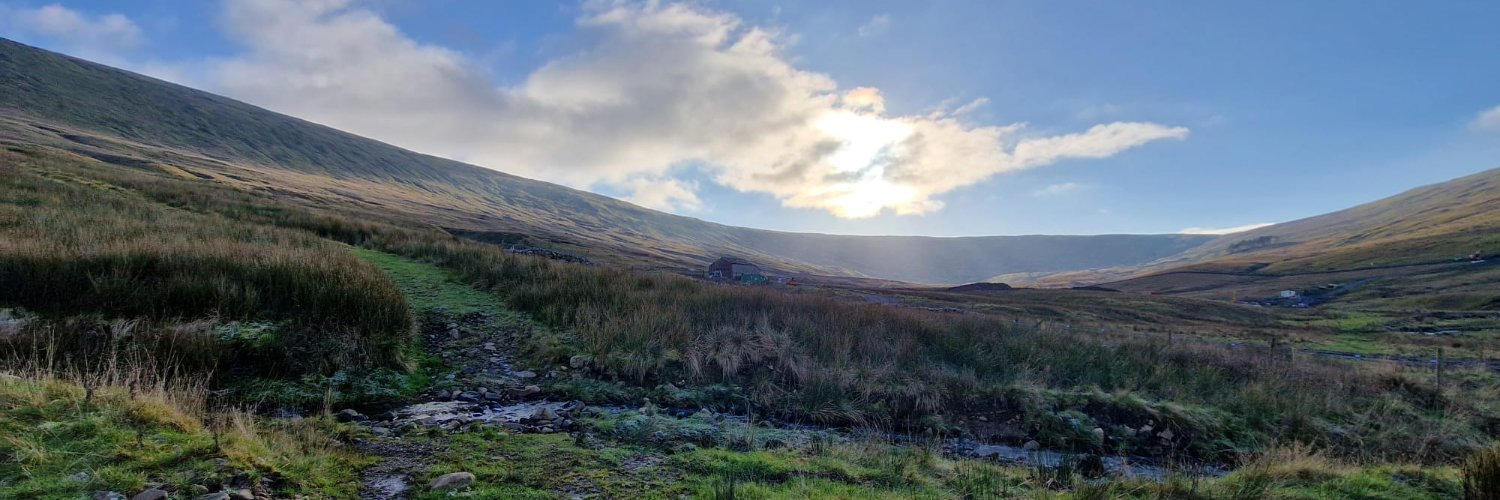 Mickey Carroll banner