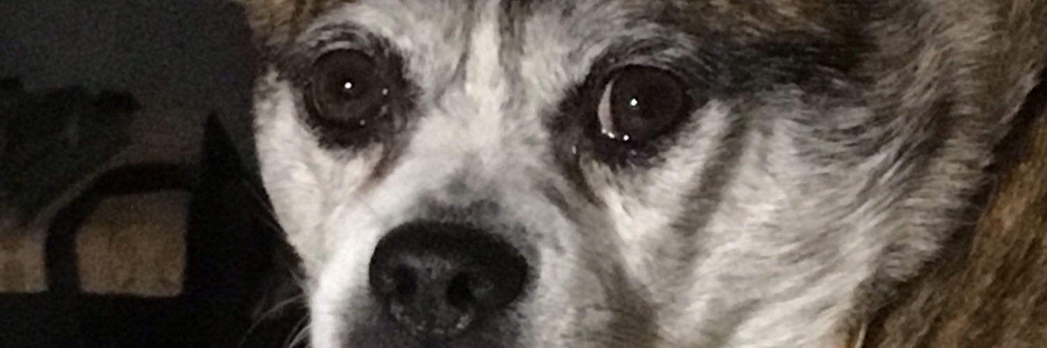 JLeeMcC1402's profile banner image