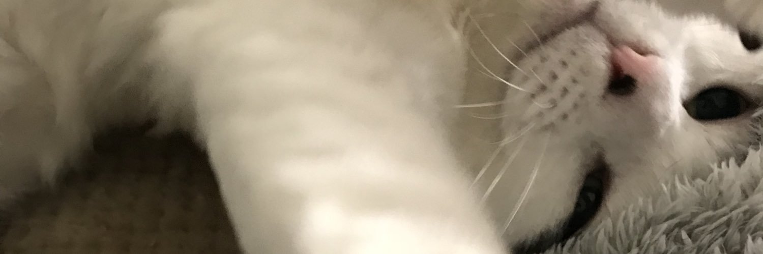 aliceskb9's profile banner image