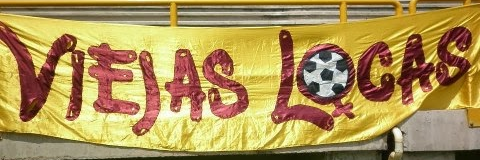 SoloLechonas banner