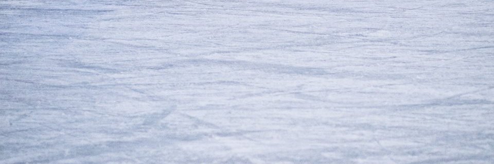 Oleksandr Hevari Sharadkin banner